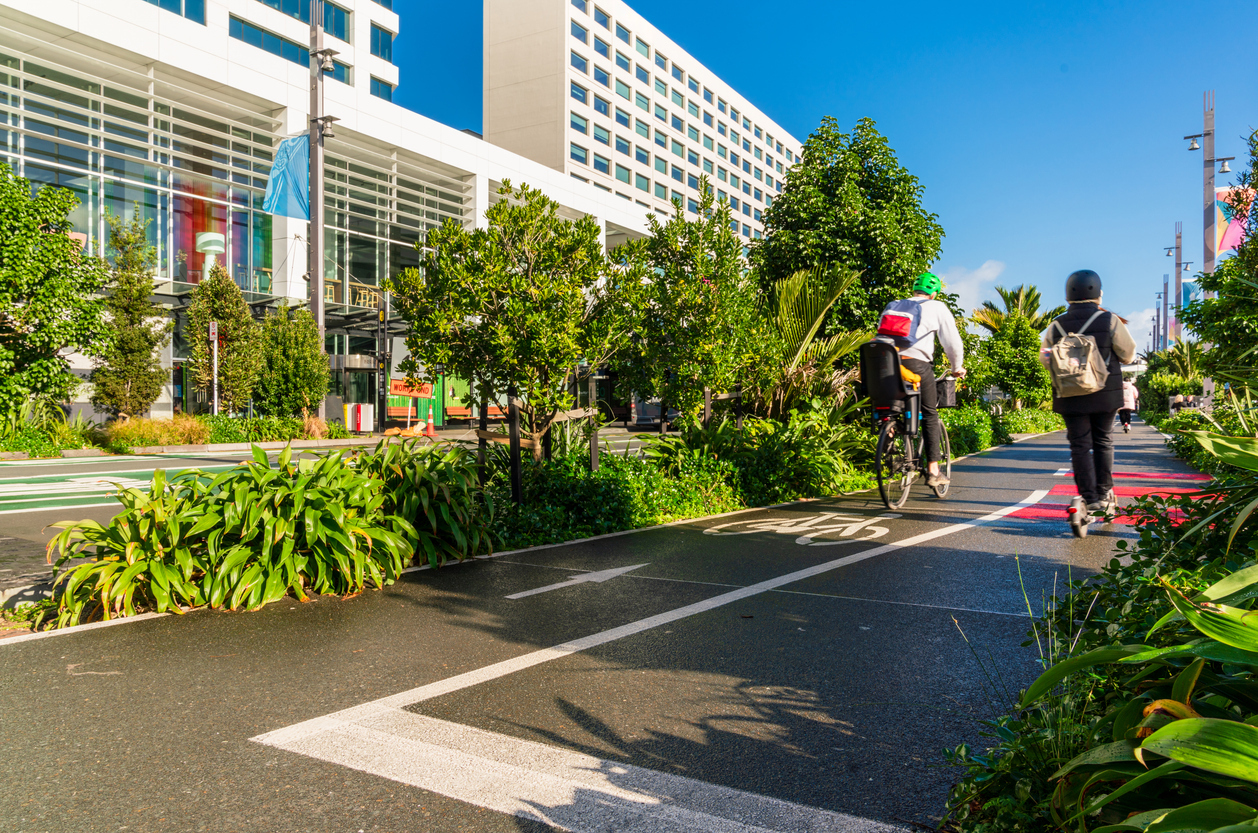 Istock 1556680699 (1)